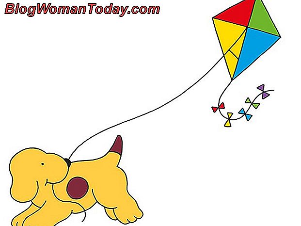 Spot Ampulleri Nasil Degistirilir Kendin Yap Spot Ampulleri Nasil Degistirilir Kendin Yap