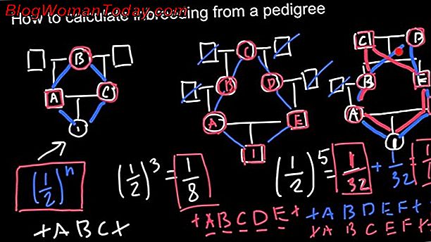 how-to-get-the-pedigree-pets